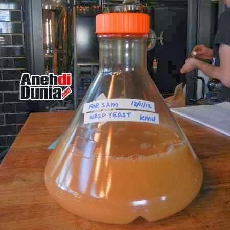 Minuman Alkohol Dari Bahan Tidak Lazim