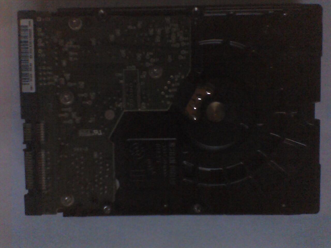 Jual HDD Desktop Internal WD 80 GB SATA 2nd (Bandung)