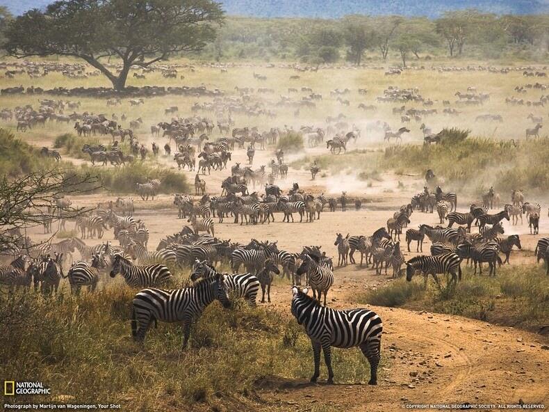Ini Dia 10 Taman Nasional di Afrika yang Paling Menarik Untuk Dikunjungi
