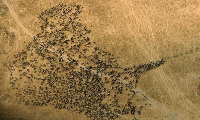 Ini Dia 10 Taman Nasional di Afrika yang Paling Menarik Untuk Dikunjungi