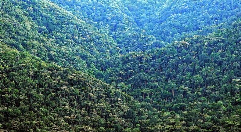 Ini Dia 10 Taman Nasional di Afrika yang Paling Menarik Untuk Dikunjungi