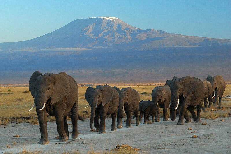 Ini Dia 10 Taman Nasional di Afrika yang Paling Menarik Untuk Dikunjungi