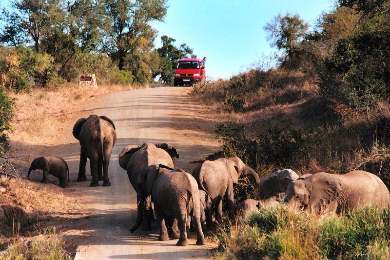 Ini Dia 10 Taman Nasional di Afrika yang Paling Menarik Untuk Dikunjungi