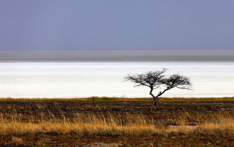 &#91;Thread Lanjutan&#93; 10 Taman Nasional Afrika yang Paling Menarik Untuk Dikunjungi