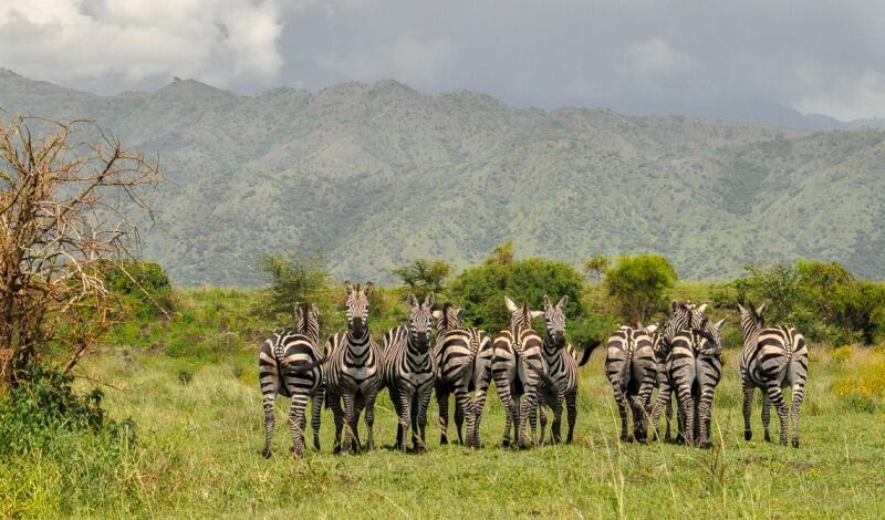 &#91;Thread Lanjutan&#93; 10 Taman Nasional Afrika yang Paling Menarik Untuk Dikunjungi