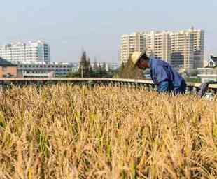 Reformasi Agraria di Pemilu 2014