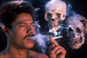ROKOK ITU...