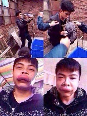 Nyesel Gk liat Gann