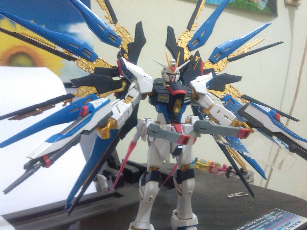 RG 144 Strike Freedom Gundam 2nd