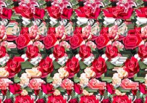 Magic Eye..Gambar 3D yang tersembunyi