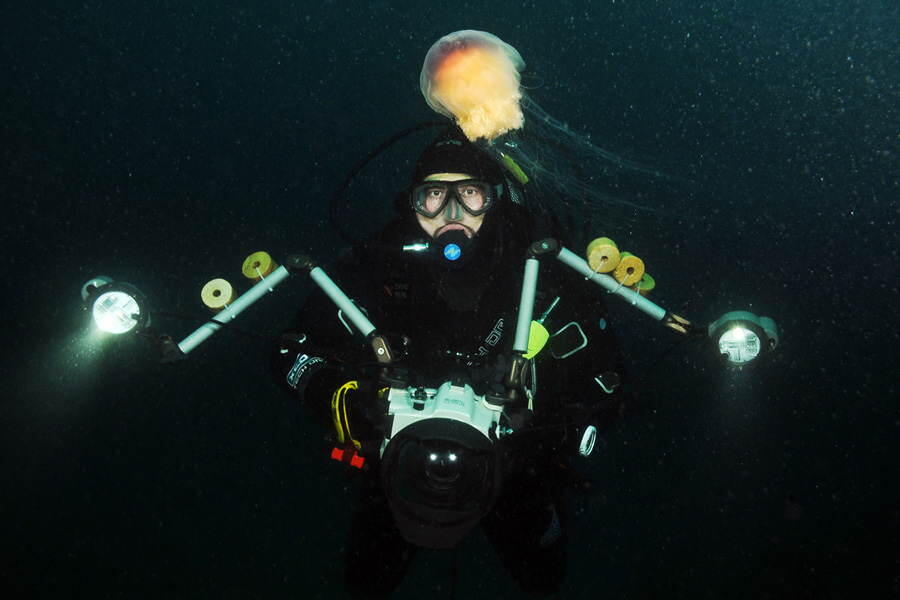 Foto-Foto Makhluk Invertebrata Laut Dalam