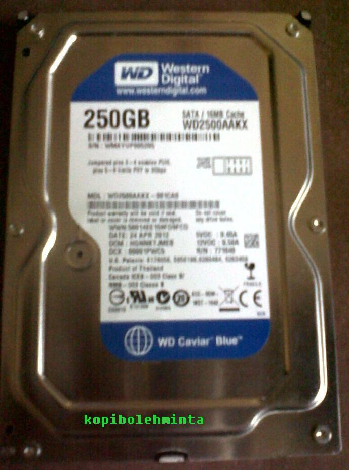 Hardisk Internal WD CaviarBlue