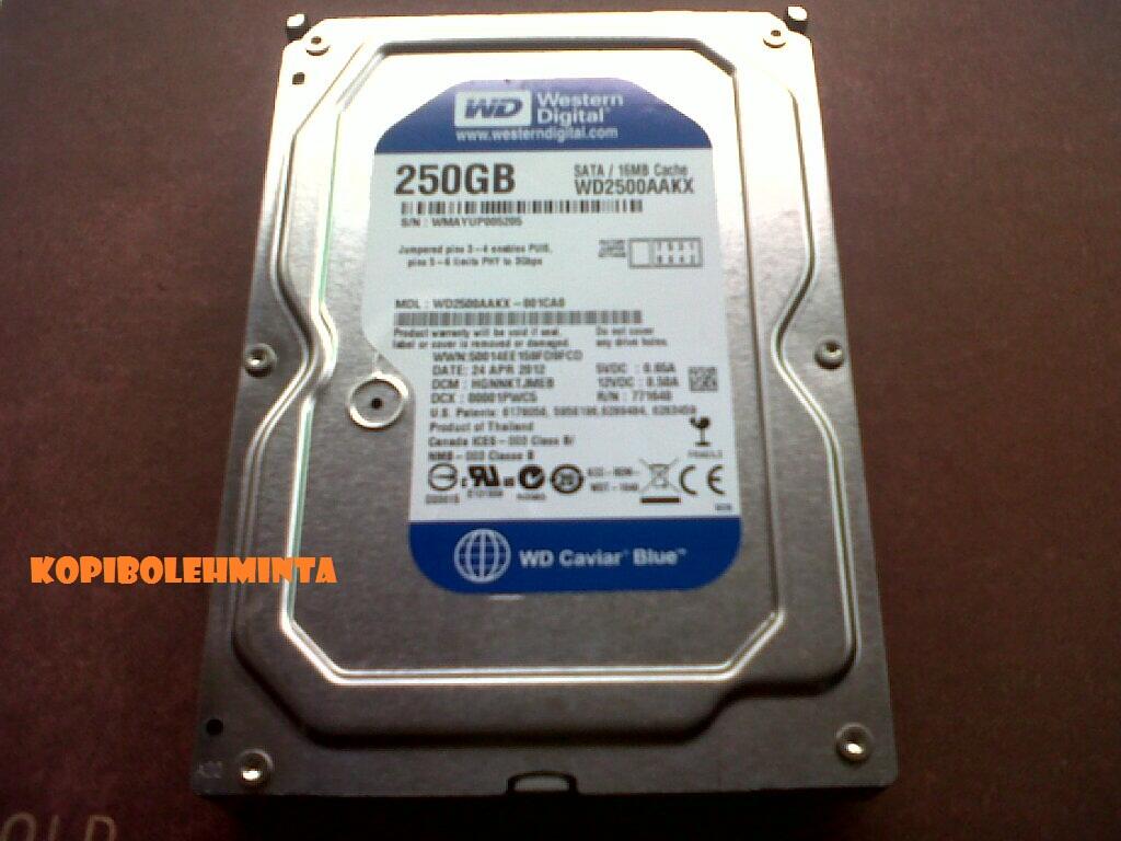 Hardisk Internal WD CaviarBlue
