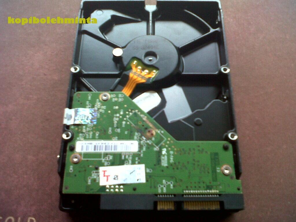 Hardisk Internal WD CaviarBlue