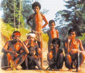 mengenal suku sakai di Riau