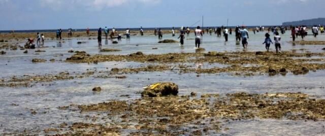 Gan alasan lain kenapa papua itu dibilang SURGA!! &quot;BIAK&quot;