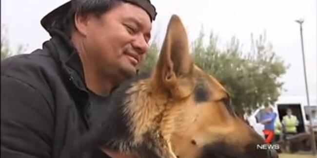 Mengharukan, Inilah 7 Anjing Paling Setia di Dunia