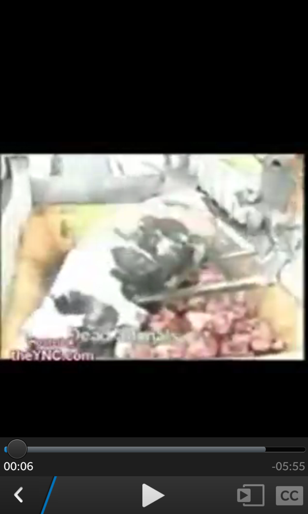 cara bikin daging Burger ter sadis