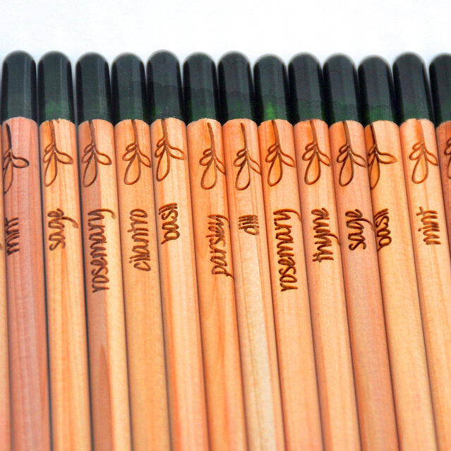 Pensil Ajaib Berubah jadi Tumbuhan