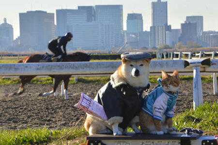 Lucu,kucing dan anjing asal jepang ini bersahabat loo