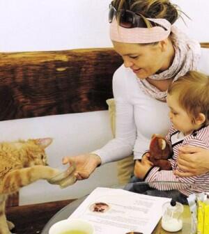MiaGola, Cafe dengan Greeter Kucing