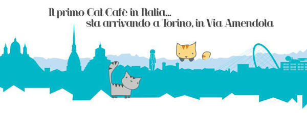 MiaGola, Cafe dengan Greeter Kucing