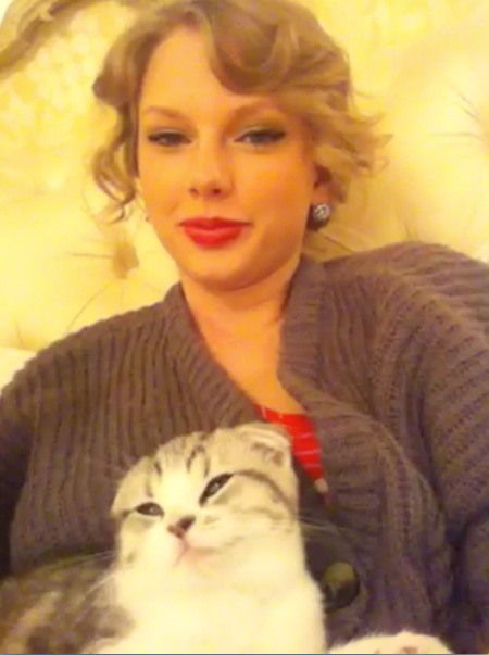 &#91;PIC&#93; Ini Dia Si Meredith, Kucing Lucu Milik Taylor Swift 