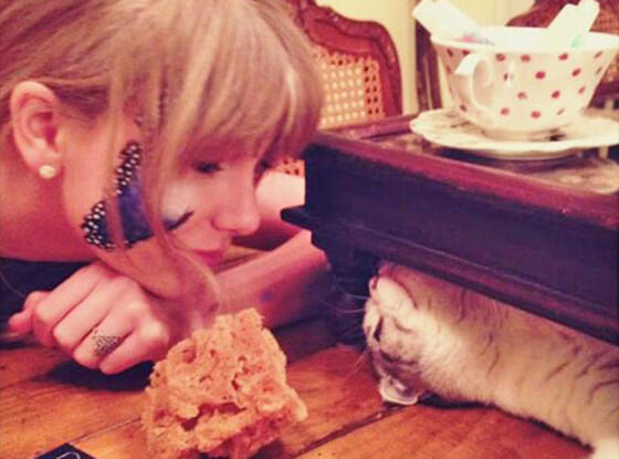 &#91;PIC&#93; Ini Dia Si Meredith, Kucing Lucu Milik Taylor Swift 