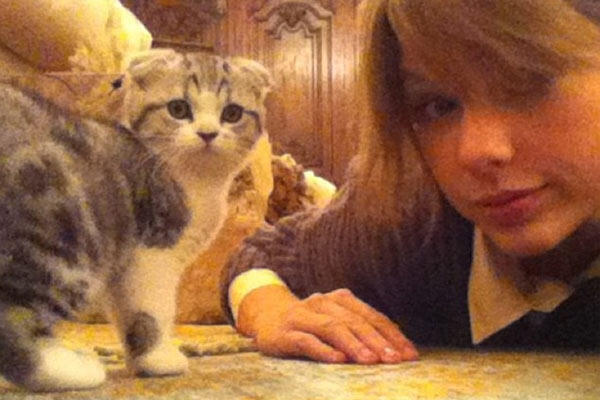 &#91;PIC&#93; Ini Dia Si Meredith, Kucing Lucu Milik Taylor Swift 