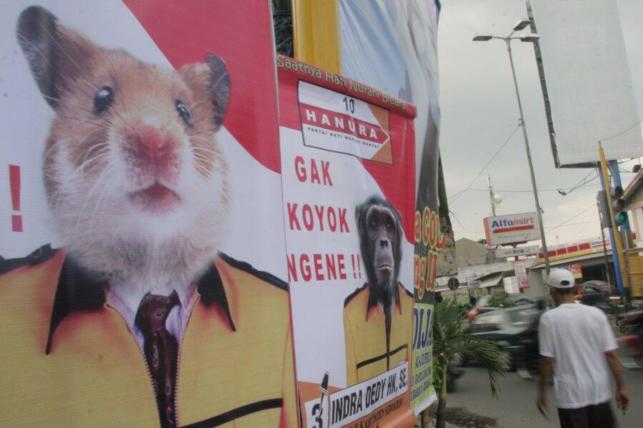 LOHH KOG ADA HEWAN NYALEG???