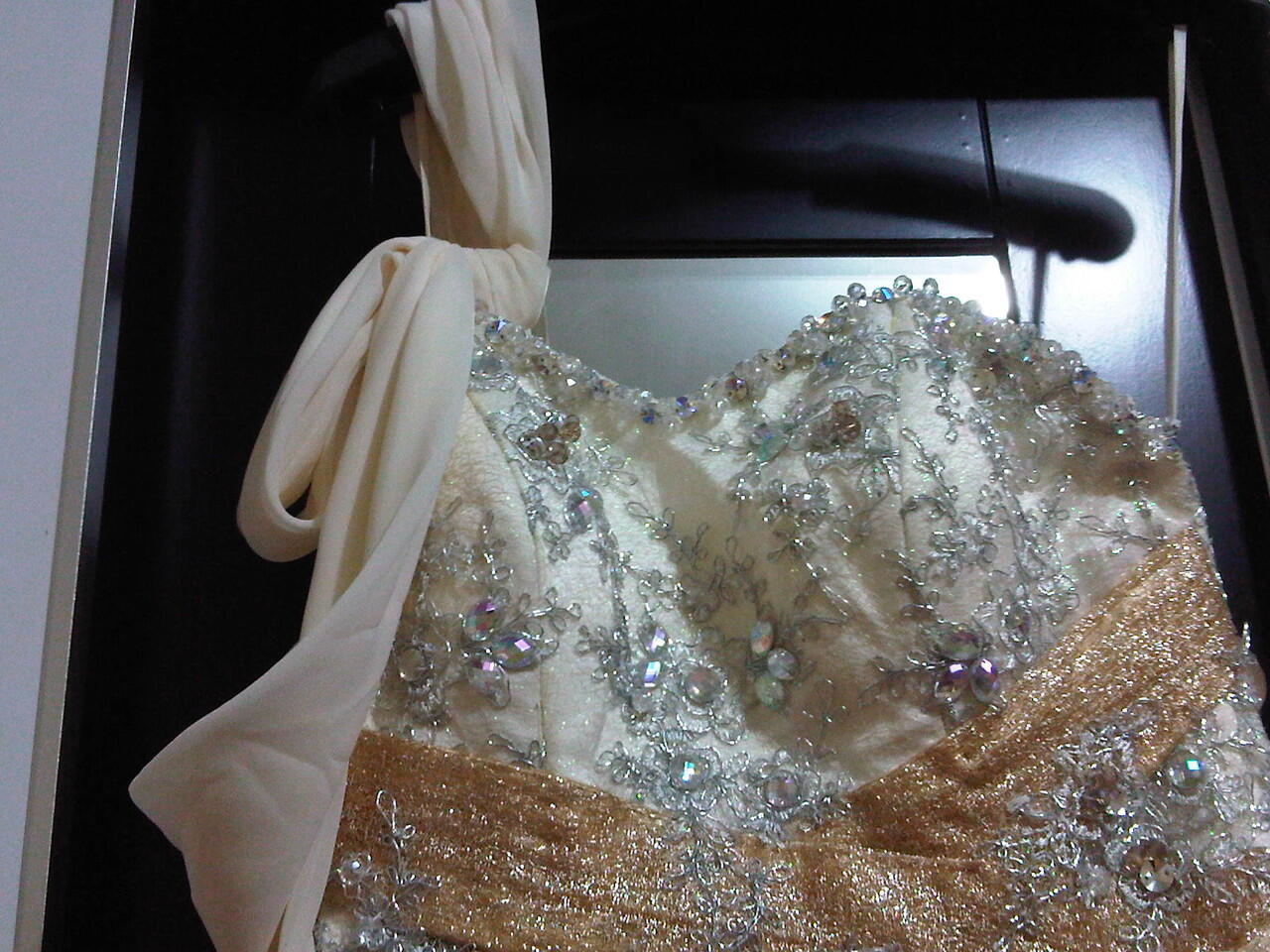 Gaun Pengantin / Pesta 6 in 1 & Tas LV Super
