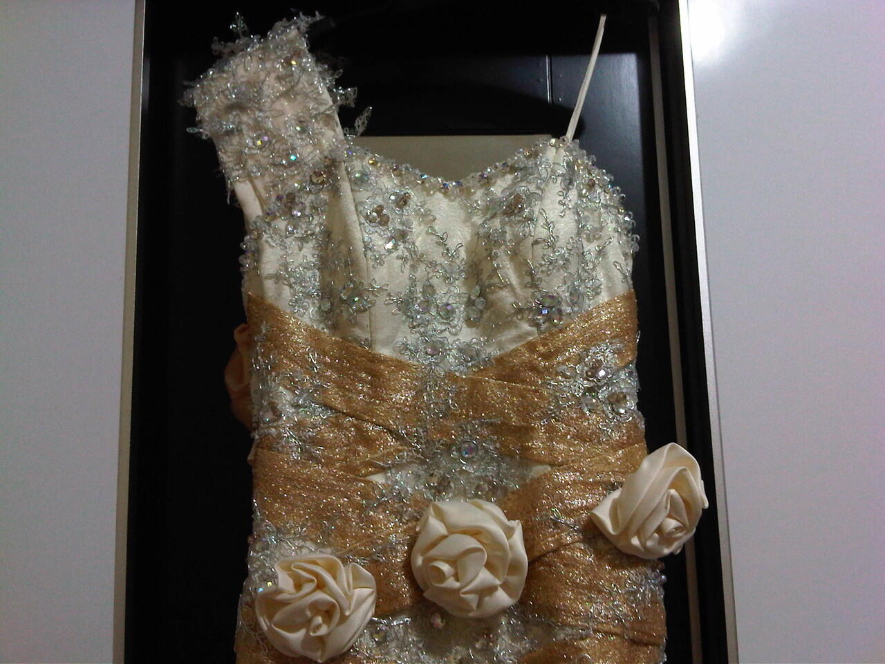 Gaun Pengantin / Pesta 6 in 1 & Tas LV Super