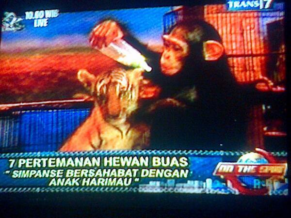 Tips nonton youtube Geratis n tanpa buffering