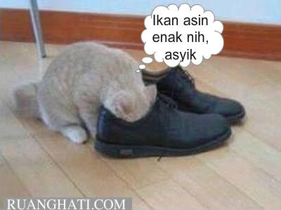 Katanya, Bau Kaki Lebih Mematikan Dari Racun Tikus 