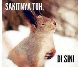 kumpulan meme dan gambar konyol