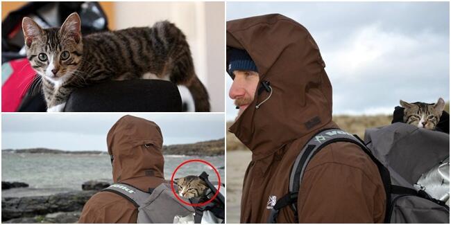 Travelling Jadi Lebih Seru Kalau Anda Membawa Kucing Ini