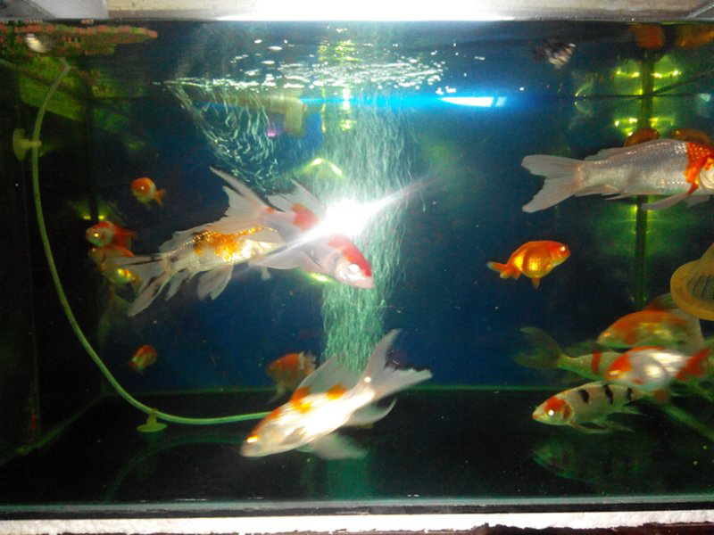 Related image