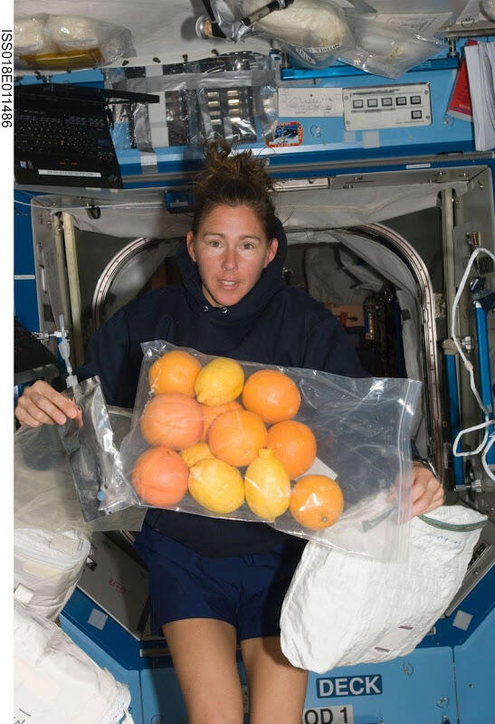 Udah Tau Belum Ini Dia Makanan yang Dimakan Para Astronot Di Luar Angkasa