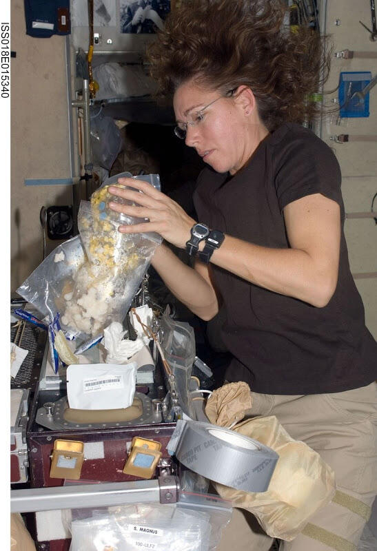 Udah Tau Belum Ini Dia Makanan yang Dimakan Para Astronot Di Luar Angkasa