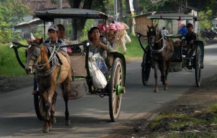 Sekilas mengenai Dokar dan Andong..?