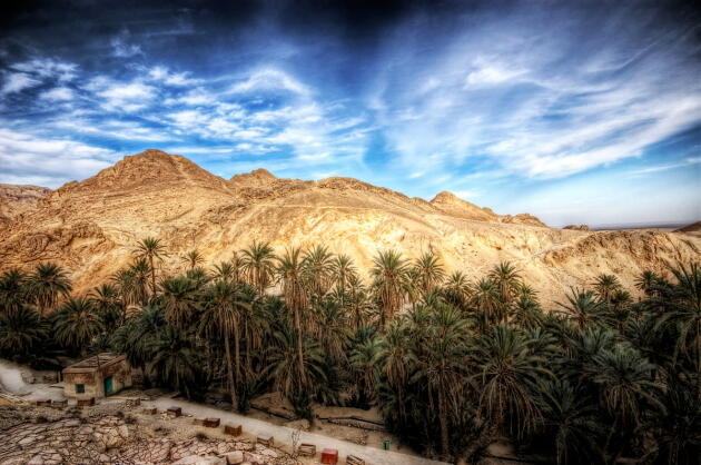 proses terbentuknya oasis di gurun gan, yang ingin tahu, monggo masuk 