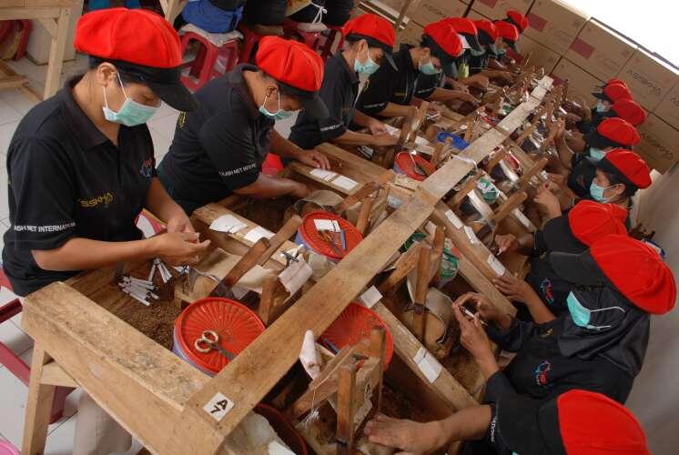 Rokok Kretek, Penopang Ekonomi di Zaman Belanda