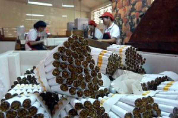 Rokok Kretek, Penopang Ekonomi di Zaman Belanda