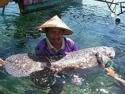 10 Jenis Ikan Purba di Dunia yang Belum Punah
