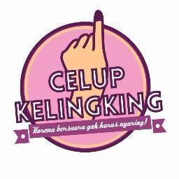 Pemilu 2014, Young Voice Elections