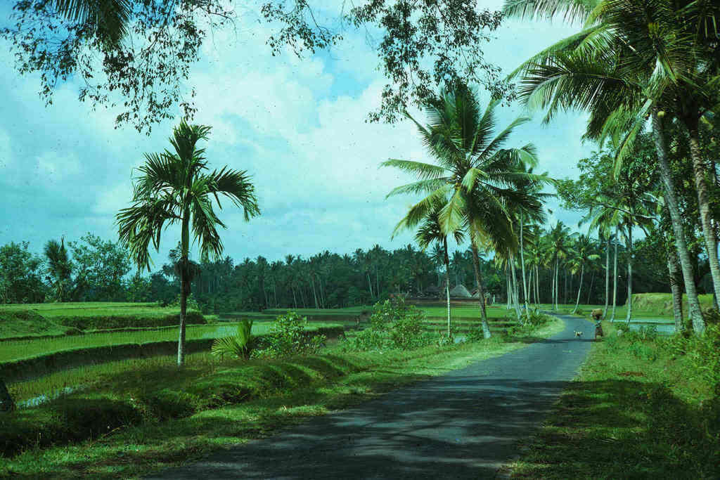Keindahan Foto-Foto Pulau Bali Tahun 70-an. MASUK! (FULL PICT+)