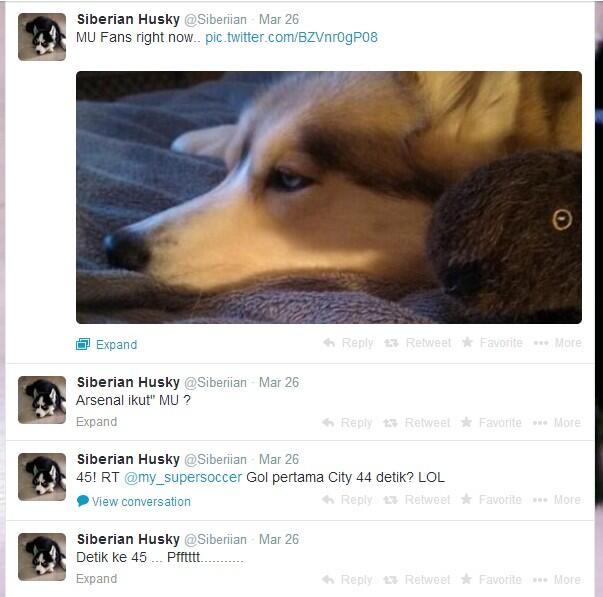 Anjing Kocak Main Twitter @Siberiian... &#91; PIC++ &#93;