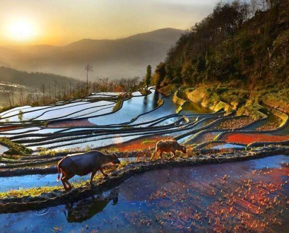 21 Foto Dari Seluruh Asia yang Sangat Menakjubkan&#91;Keren&#93;