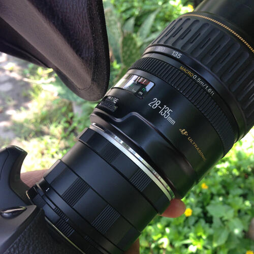 Tips Macro Photo Murmer pakai Extension Tube + Lensa Telephoto