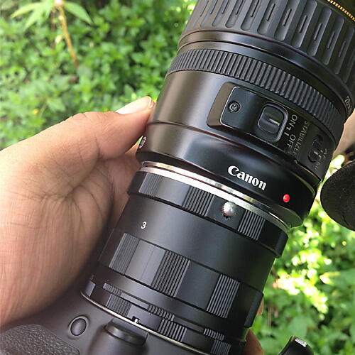 Tips Macro Photo Murmer pakai Extension Tube + Lensa Telephoto